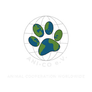LOGO ANI•CO