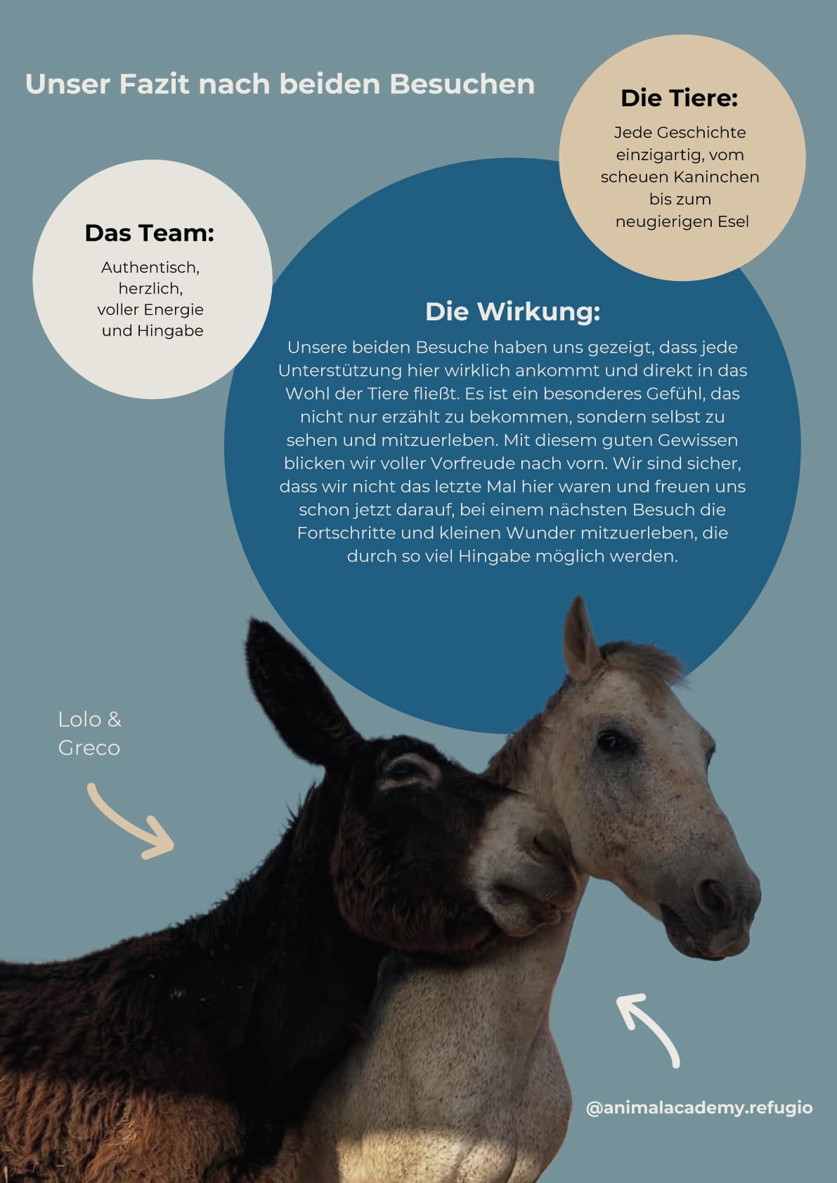 Unsere Spende für die Animal Academy